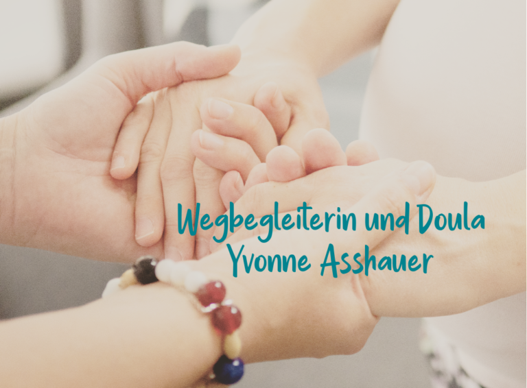 Y.Asshauer 1 768x566